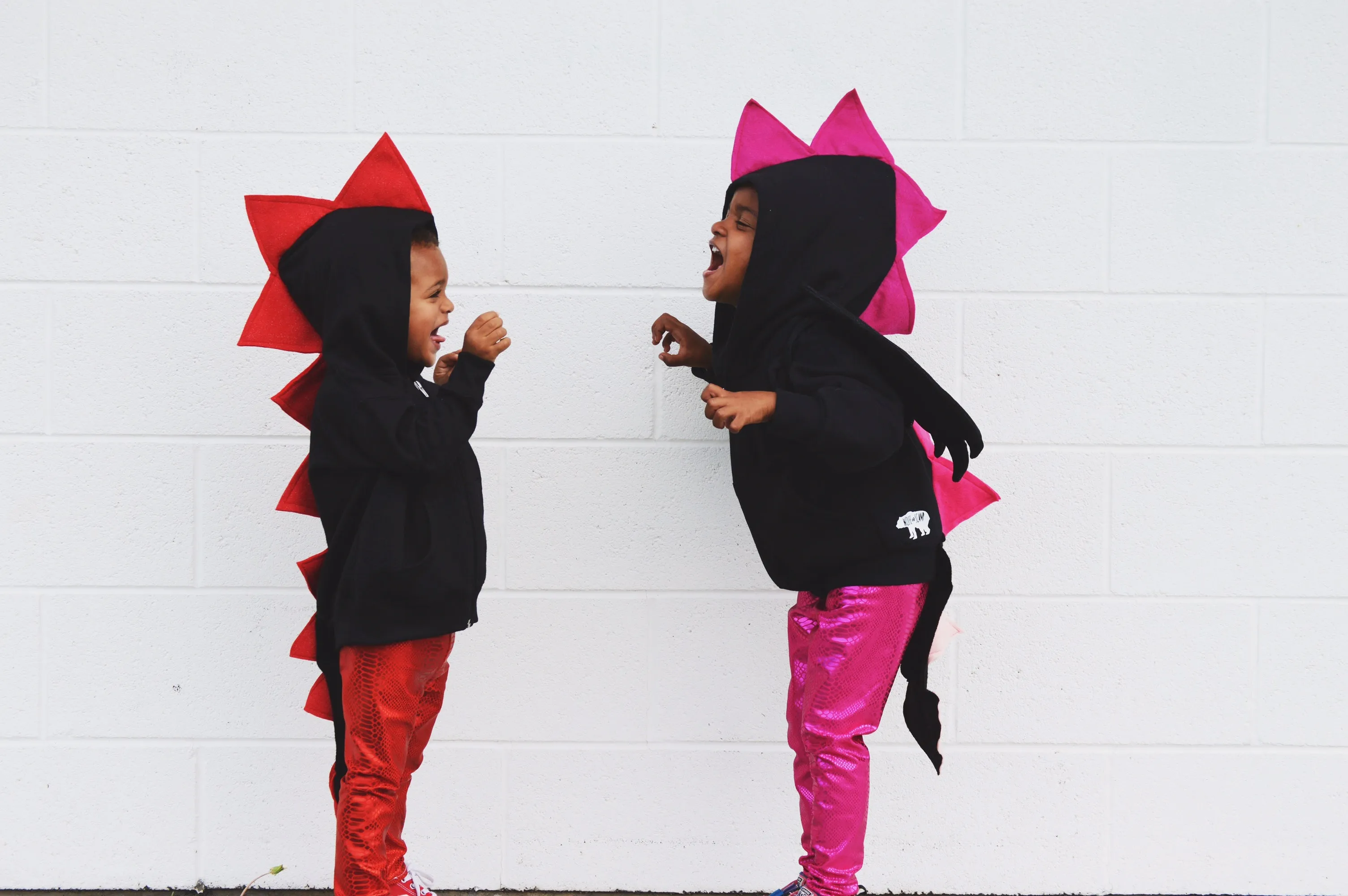 Black + Pink Dragon Hoodie