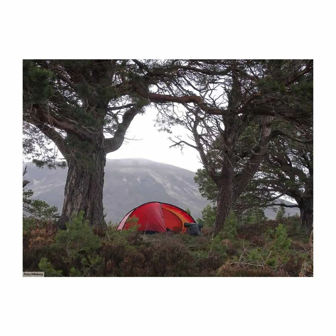 Niak 2 Person Tent